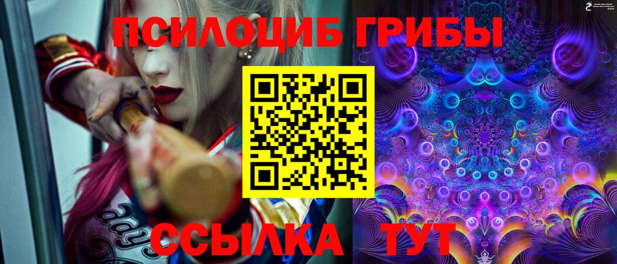 Улан-Удэ  Галлюциногенные грибы мухоморы  Вход с VPN 