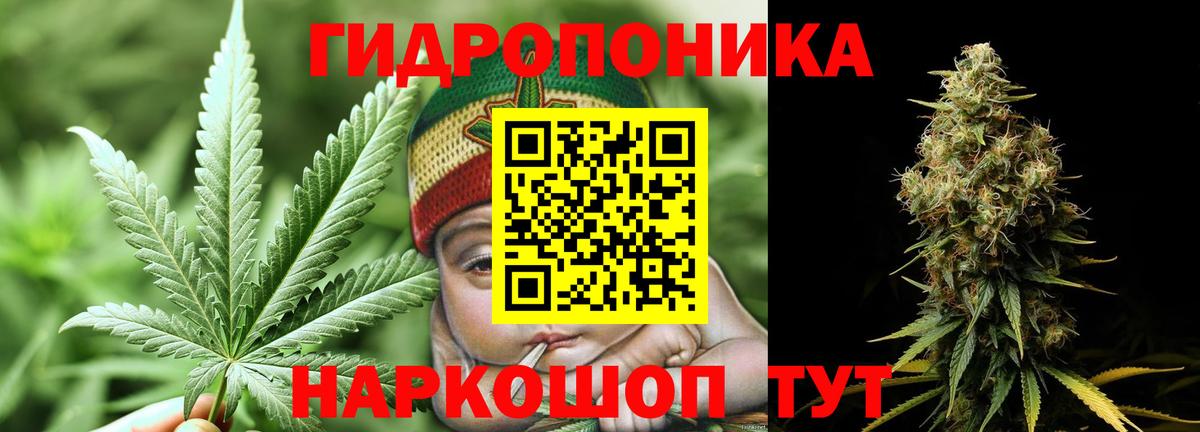 Улан-Удэ  Бошки марихуана White Widow  Бошки марихуана Ganja  Вход с VPN  Бошки Шишки THC 21%  МАРИХУАНА Amnesia 
